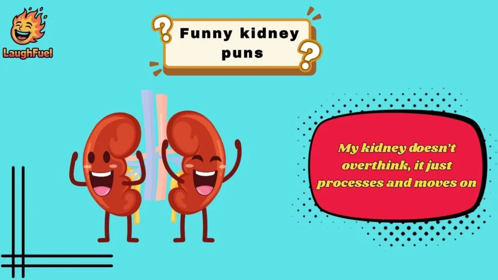 Clever Kidney Puns That Are Surprisingly Smart