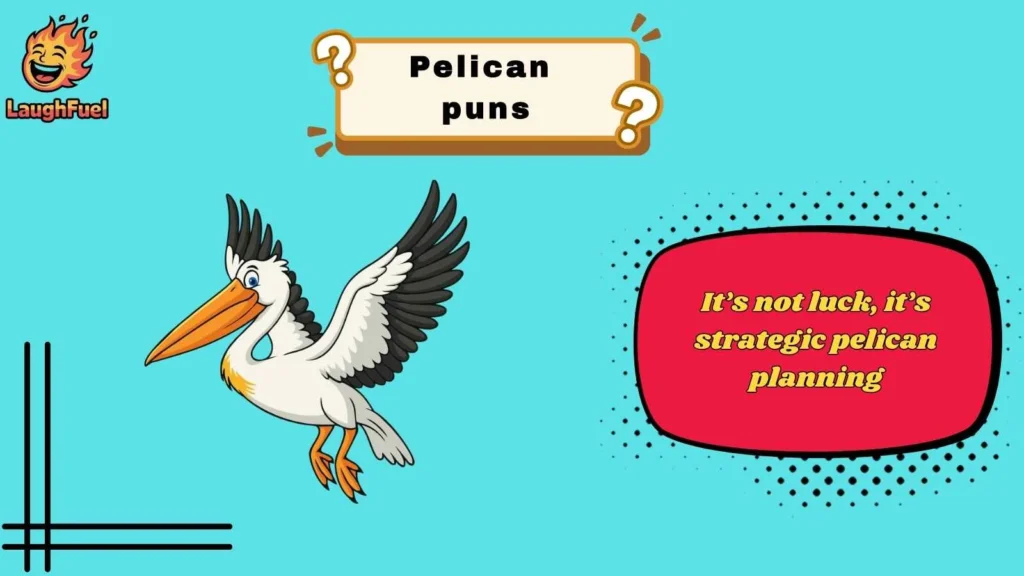Clever Pelican Puns That Show Off Your Wit