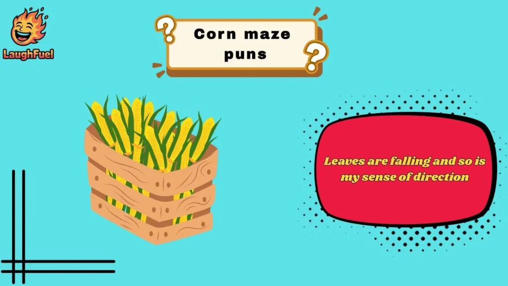 Corn Maze Puns Perfect for Fall Season Vibes