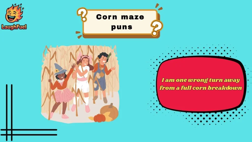 Funny Corn Maze Puns That Always Deliver