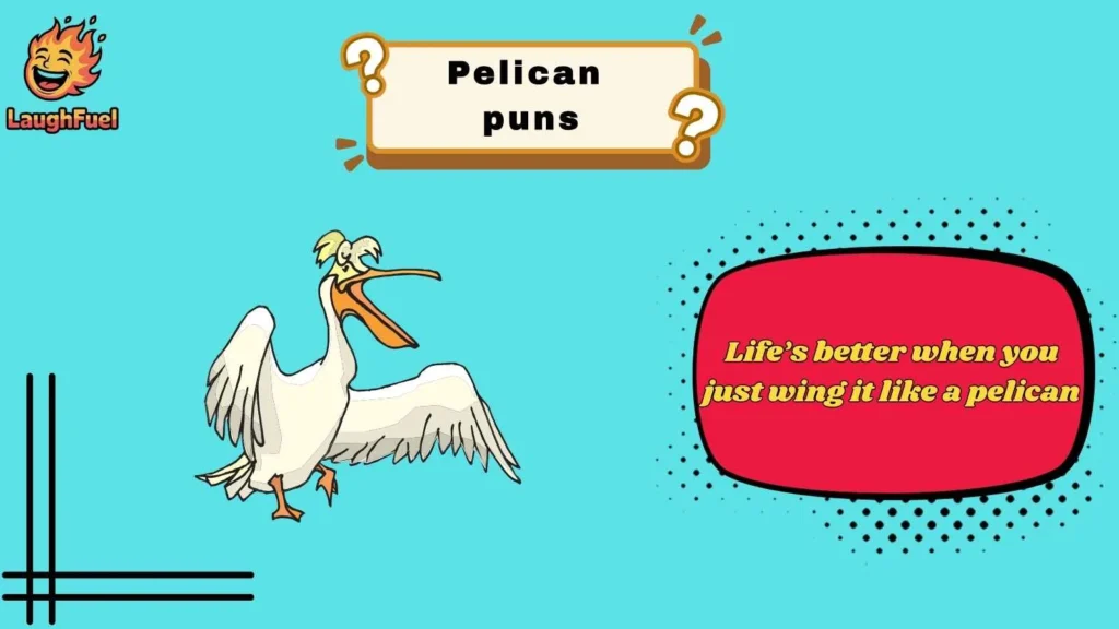 Funny Pelican Puns That Always Land
