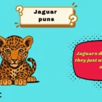 jaguar puns