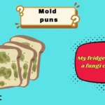 mold puns