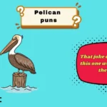pelican puns