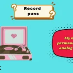 record puns