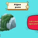 algae puns