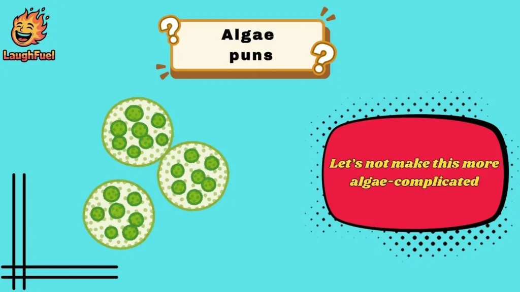 Algae Puns for Everyday Laughs