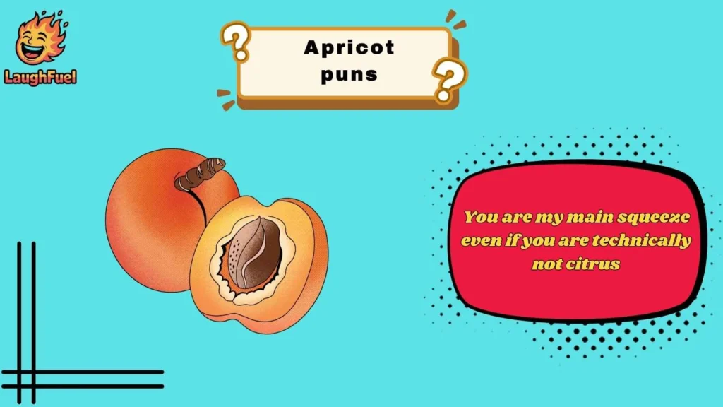 Cute Apricot Puns for Couples