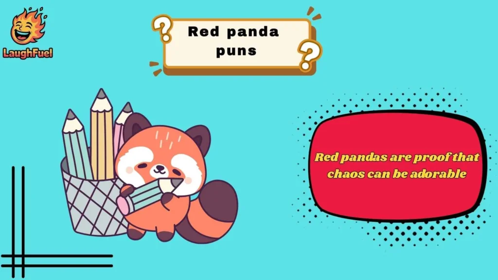 Cute Red Panda Puns