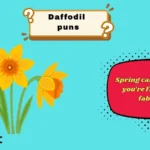 daffodil puns