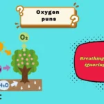 oxygen puns