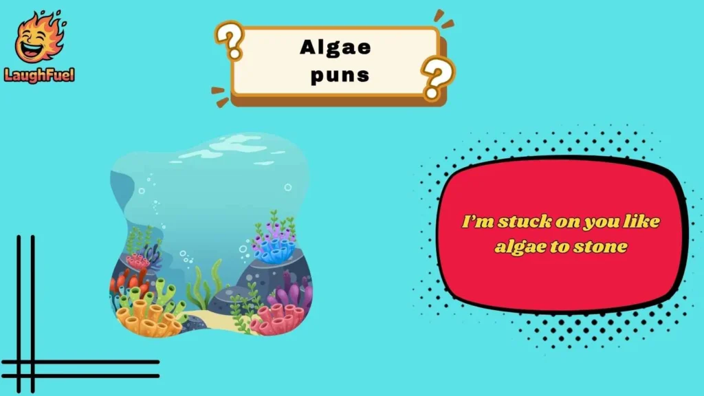 Romantic Algae Puns That Are Smooth