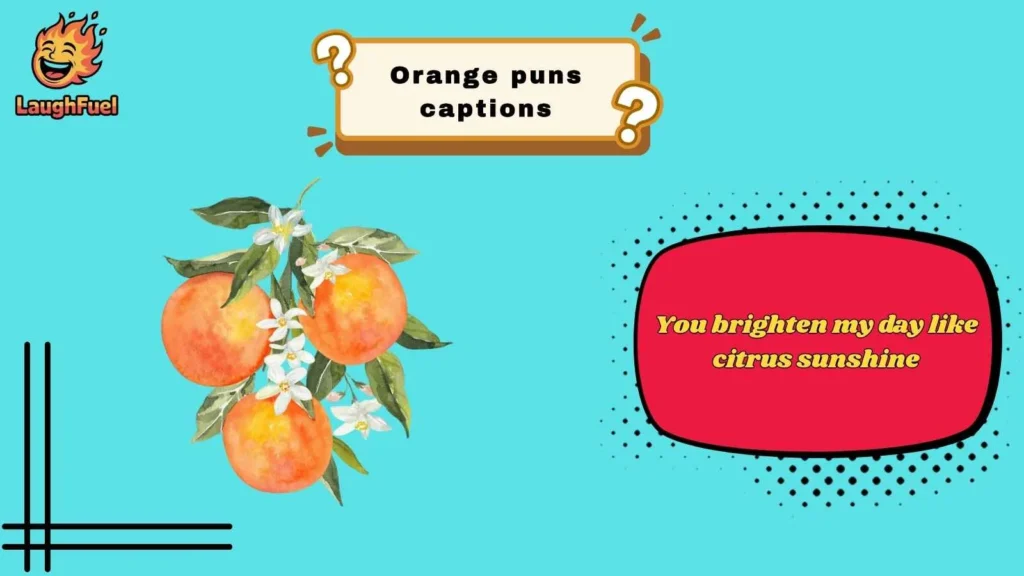 Cute Orange Puns Captions