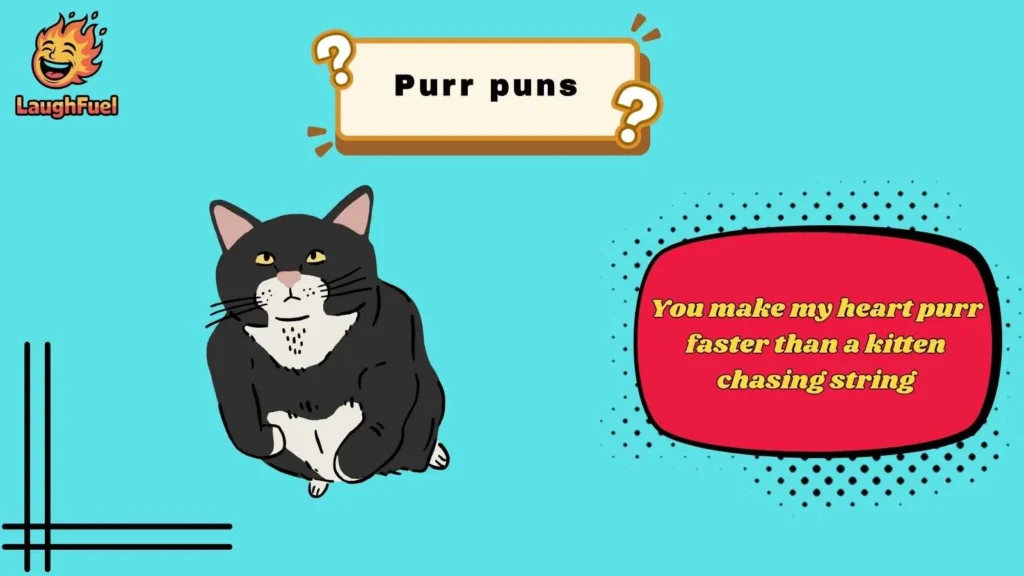 Cute Purr Puns