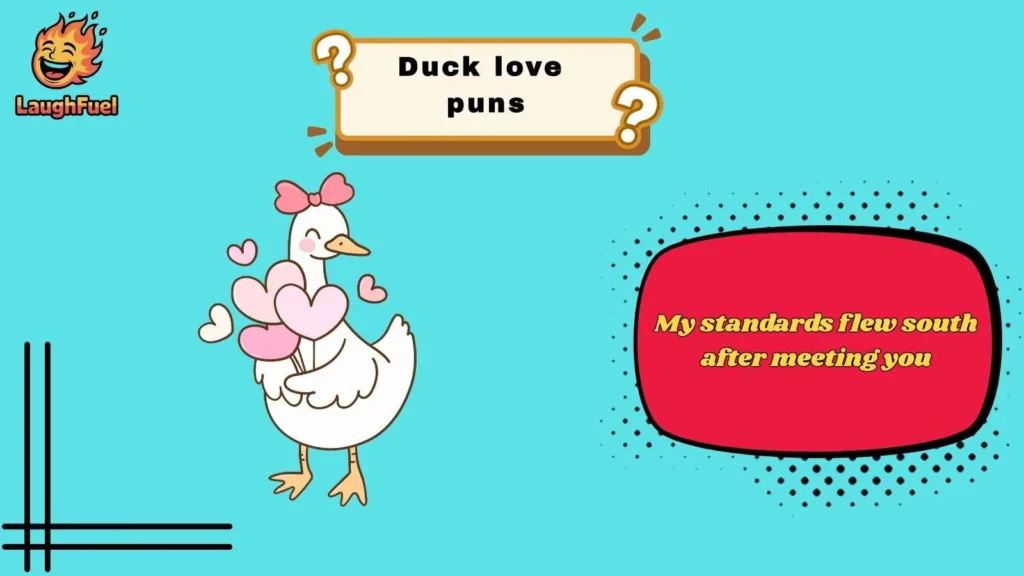 Funny Duck Love Puns