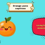 orange puns captions