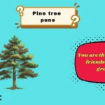 pine tree puns