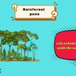 rainforest puns