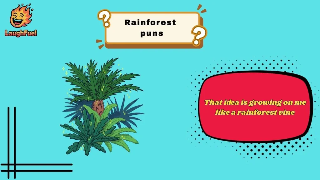 Rainforest Puns for Everyday Laughs