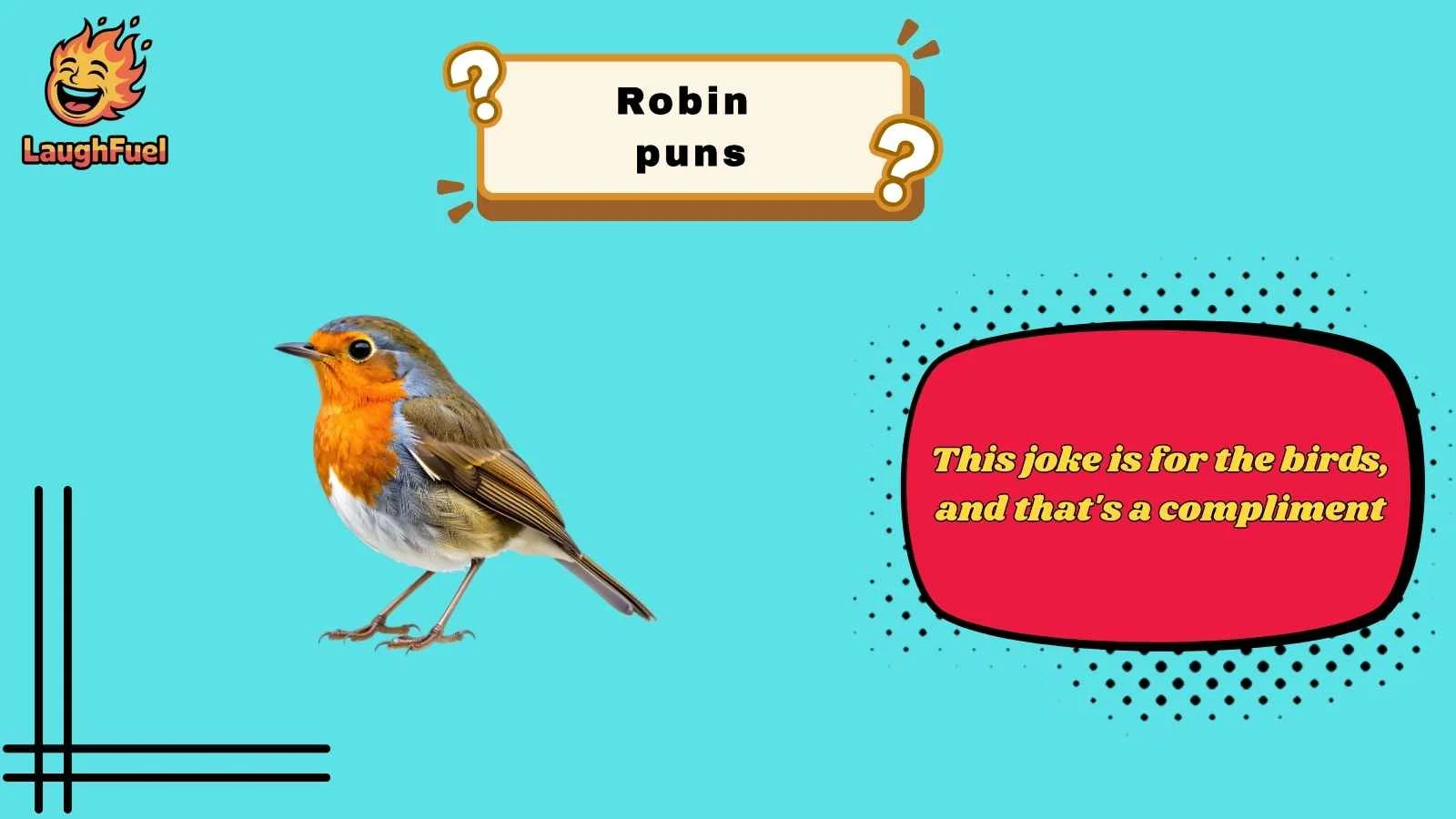 robin puns